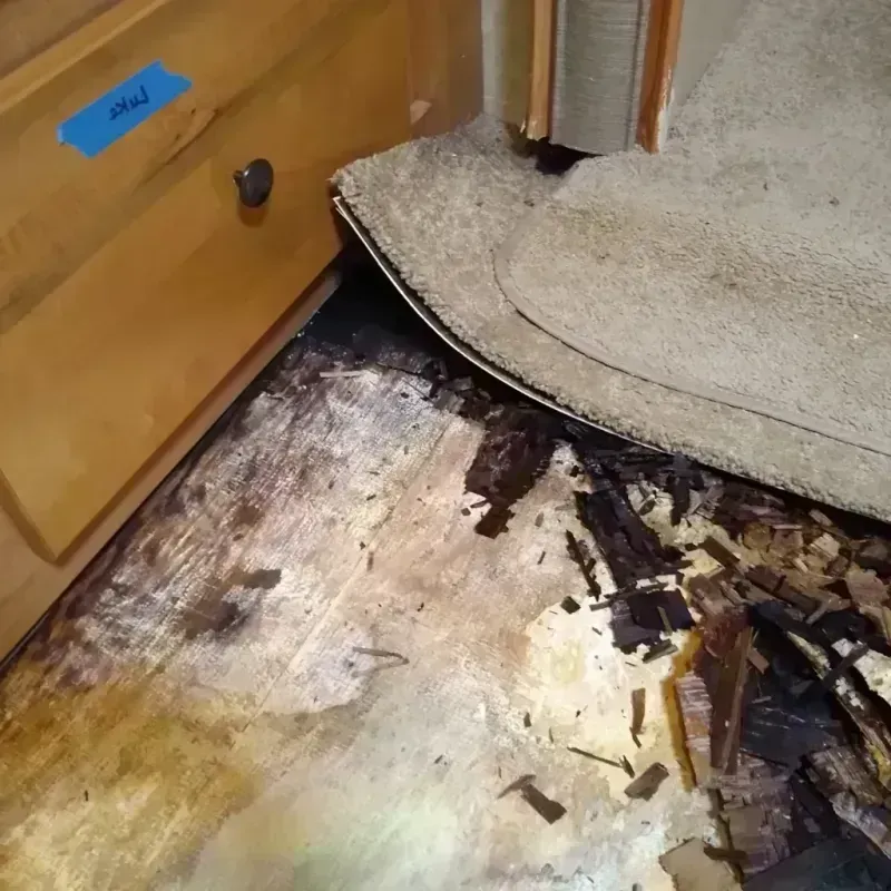 Wood Floor Water Damage in Lakewood, SC